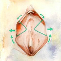 Westchester Vaginal Rejuvenation